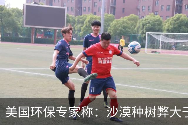 美国环保专家称：沙漠种树弊大于利，中国自称环保大国却不懂危害